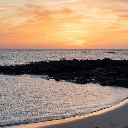 Home2book Vibrant Corralejo, Pool *